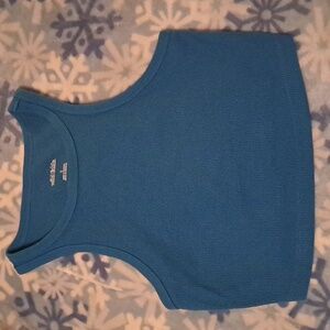 FREE WITH BUNDLE Juniors wild fable crop top